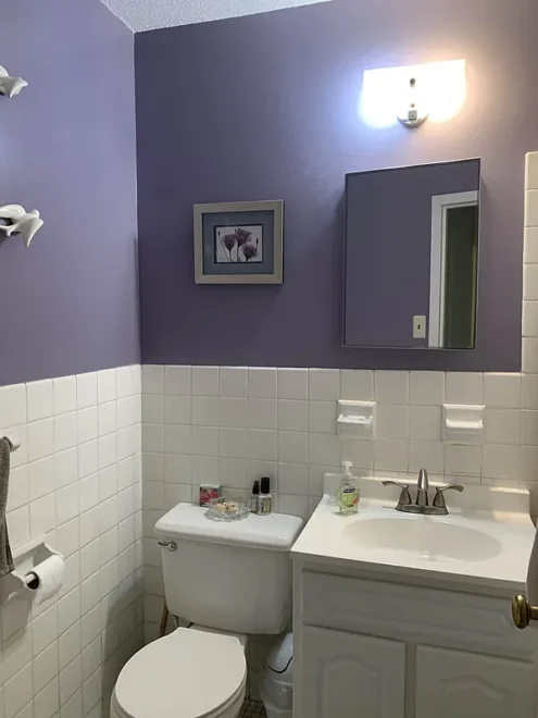 290 West 232nd 19E bath